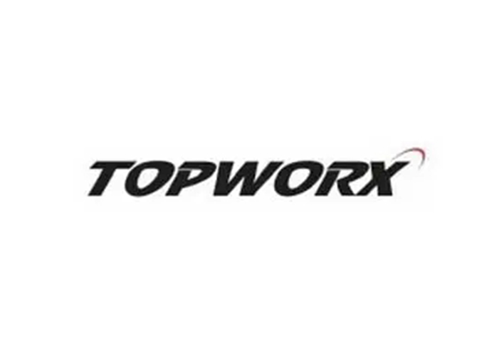 美國TOPWORX代理